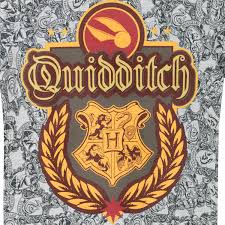 In confezione regalo che ne attesta l'originalità Maglietta A Maniche Corta Ragazzi Quidditch Harry Potter Abbigliamento Specifico Abbigliamento Amiralebsatte Com
