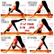 Pin On Beginner Yoga Poses