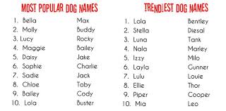 Different breeds of small dogs are lovable, lively, and always up for a cuddle. Talking Dogs At For Love Of A Dog What S In A Dog Name Boy Puppy Names Cute Boy Puppy Names Dog Names