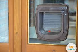 Pet doors for windows are a quick and easy way to install a cat door or dog door in your sash or horizontal sliding window without permanent changes to your home. Cat Doors The Ideal Solution For Winter Love Ferplast