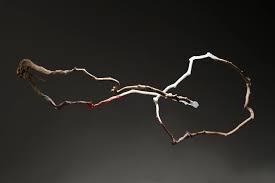 Tomoko Amaki Abe : Glass