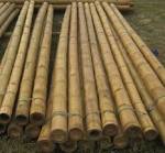 Natural First Cut Premium Bamboo Stakes, Bundle - Field Staking