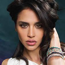 ColorVision Color Vision