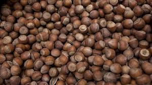 Türkiye fındık ihracatından 11 ayda 2,4 milyar doları aşkın gelir sağladı