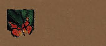 In the Time of the Butterflies | All Literature