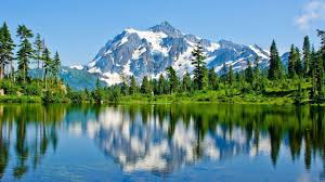 Perfect screen background display for desktop, iphone, pc, laptop, computer, android phone, smartphone, imac, macbook, tablet, mobile device. Nature Ultra Hd Hd Wallpapers 4k