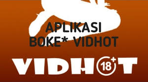 Begini cara hemat kuota streaming film disney plus hotstar dan netflix. Vidhot Aplikasi Bokeh Video Full Hd 2018 Video Video Bokeh Apk Download 2020