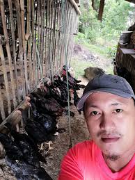 Let's welcome our new members! Sczheirwyn Sierra Lima, Yong Yong Suan,  Jayriel Galban Nioban, Gil Doong, Arnold Baldevino, Noel Suficiencia,  Shameer Mistul, CCC Native Chicken Farm, Angiephe Cercado Barontoy, Erna  Jatico, Jorie