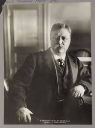 Tr Center Theodore Roosevelt 1912 Diy Beard Oil Theodore Roosevelt Diy Beard