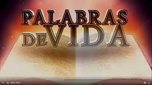 Conferencia Corona De Adviento Auspiciado Por Palabras De Vida Pepe Gonzalez Y Mariavision Youtube