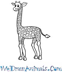 How to draw a giraffe step by stephow to draw a giraffe for beginners,how to draw a giraffe step by step easy,how to draw a. How To Draw A Cartoon Giraffe
