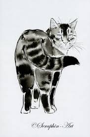 Koekoeken cat food bath creature koekoek legend. 4789 Best Felines A Go Go Images Cat Art Cats Crazy Cats