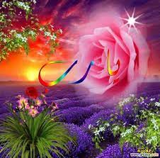 صور ورد 2019 صور ورود جديدة 2019 صور اجمل وردة لـ احلى اصحاب 2019 منتديات غلاسة neon signs islamic calligraphy neon