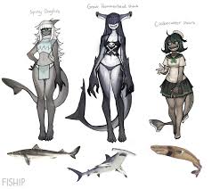 Find the newest moe anthropomorphism meme. Here S 3 Shark Girl Designs Based On Very Different Species Gijinka Moe Anthropomorphism Fantasy Character Design Anime Character Design Creature Art