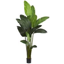 Faux, artificial & fake cactus plants from adorable baby cacti in full bloom to tall, towering figures of desert landscape, our collection of fake cactus plants can fit anywhere in your home. Nearly Natural Fake Plants Artificial Plants For Indoors Target