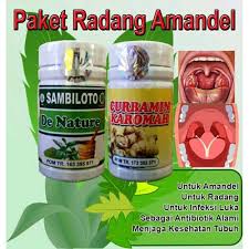 Hasil gambar untuk obat amandel di karawang