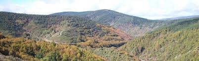 See a recent post on tumblr from @incompetentsperm about cevennes. The Cevennes National Park