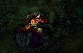 Check spelling or type a new query. Wallpaper Girl Flowers Elf Sleep Armor Red Cloak The Black Knight Images For Desktop Section Fantastika Download