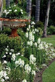 My Serenity White Gardens Moon Garden Beautiful Gardens