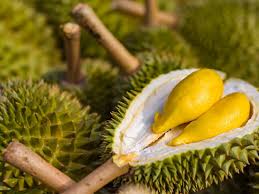 Terima kasih sudah menonton like share subscribre & kome hatur nuhun. Jenis Durian Paling Populer Dengan Rasa Lezat Dan Nikmat Anon Gallery