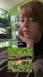 Dreaming of Owning a Sheltopusik: My Journey to Adopt, Rescue, Rehome, and  Surrender