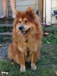 Profile for Bringing in Beauty