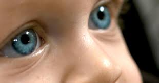Haben Alle Babys Blaue Augen W Wie Wissen Ard Das Erste