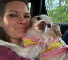 Random Chihuahua Clicks ❤️ 桃 ル分..和小ま