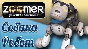 Самое молодое поколение, школьники, или только закончили школу. Interaktivnaya Igrushka Sobaka Robot Zumer Zoomer Toys Video Dlya Detej