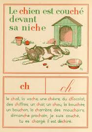 Niche In 2020 Basic French Words Learn French French Language