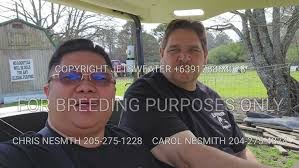 BLACKWATER FARM TOUR 1