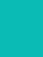 Tiffany Blue 0abab5 Hex Color