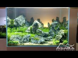 Aquascape New Beginnings Step By Step Aquascaped By Dan Harris Poweredbyanubias Youtube Aquarium Landscape Aquarium Aquascape