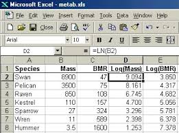 Graphing Metabolic Rate