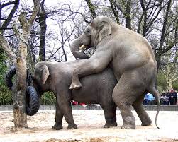 sex | Digital StillCamera | vince42 | Flickr