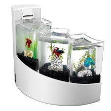 Aqueon Betta Falls Aquarium Kit In White Betta Fish Tank Aquarium Kit Betta Aquarium