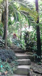 Précision sur la protection de l'édifice. Interieur De La Serre Tropicale Picture Of Jardin Botanique De L Universite De Strasbourg Tripadvisor