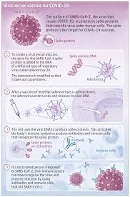 The johnson & johnson vaccine also has a unique benefit: Johnson Johnson Covid 19 Vaccine The Early Career Voice