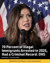 As President Donald Trump pushes federal law enforcement toward an  immigration crackdown, agents and prosecutors fear he's drawing resources  from one of the most vulnerable groups: victims of child sexual  exploitation online.