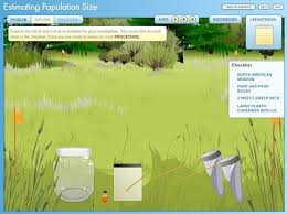 Wow Biolab Teaching Biology Ap Environmental Science Biology Classroom