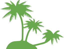 Kelapa pantai palm pohon alam tropis musim panas laut perjalanan. Gambar Pohon Kelapa Png 4 Png Image