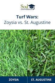 Turf Wars Zoysia Vs St Augustine Sod University Sod Solutions St Augustine Grass Sod Grass Zoysia Sod