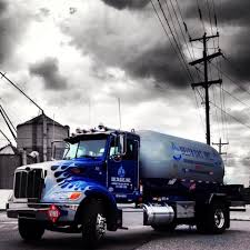 Image result for Delta 209