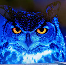 The Night Owl Food Truck — Restaurant food truck in Indianapolis, Indiana