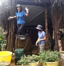 Descriptions Of Our Herb Courses The Foragers Path Flagstaff Arizona Herbs Flagstaff Az Flagstaff