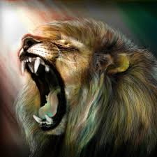 Unterstützt ebenfalls die umwandlung von videos in animierte gifs. Kostenlose Lowen Bilder Lowen Hintergrundbilder Fur Android Apk Herunterladen