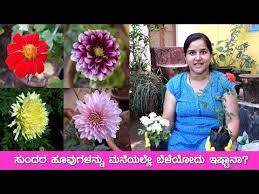 Pin On Gardens And Gardening