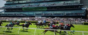 From 1,887 condo and apartment rentals to 1,027 house rentals, find a unique house. Melbourne Cup Day Randwick Racecourse Sydney