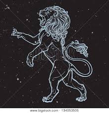 Lion standing on hind legs. Lion Stanging On Hind Vector Photo Free Trial Bigstock