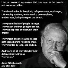 British naturalist sir david attenborough at the cop24 summit in katowice, poland: Did David Attenborough Say I Am Unaware Of Any Animal That Is As Cruel As Israelis Snopes Com David Attenborough David Attenborough Quotes Fact Quotes